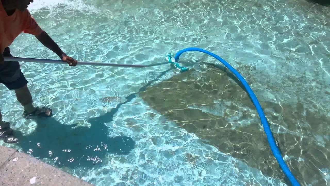 Peyzaj - Havuz Temizliği